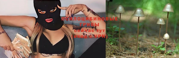 винт Аркадак