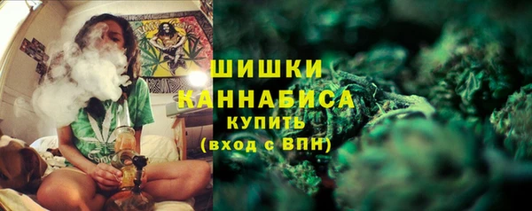 хмурый Покачи